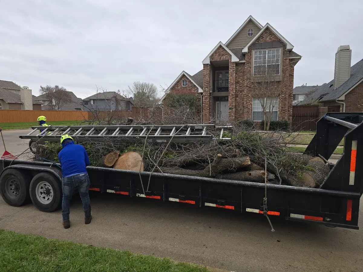 Expert Tree Fertilization with proper safety equipment in Oliver Springs